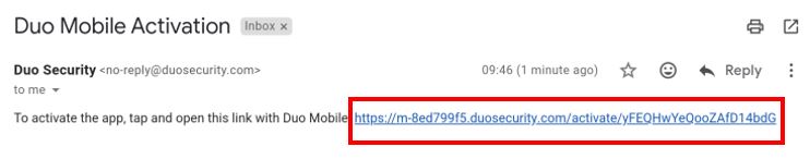prompt screen displaying activation link